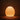 The Seed Lamp - Amber