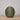 The Seed Lamp- Olive